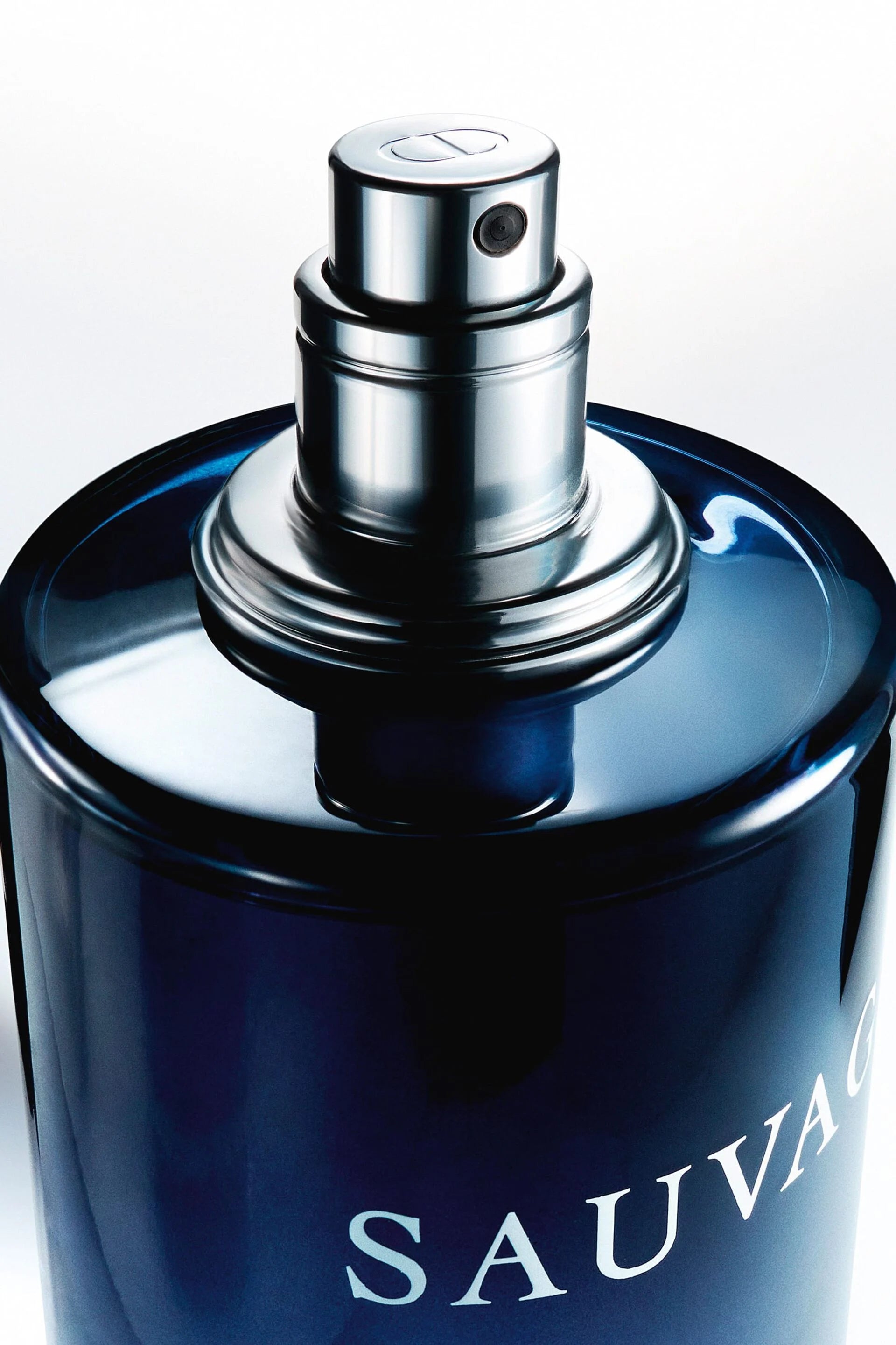 DIOR Sauvage Parfum 100ML 3.4FL.OZ